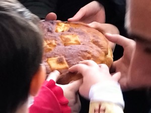 IMG_20220127_114511